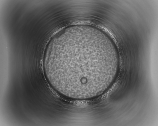 X0000093401041200711091337