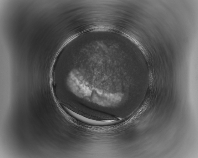 X0000093401042200711091337