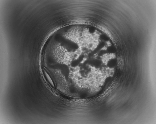 X0000093401043200711091337