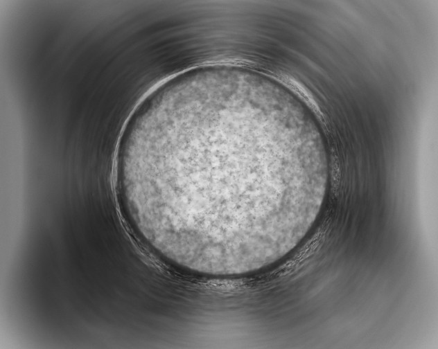 X0000093401044200711091337