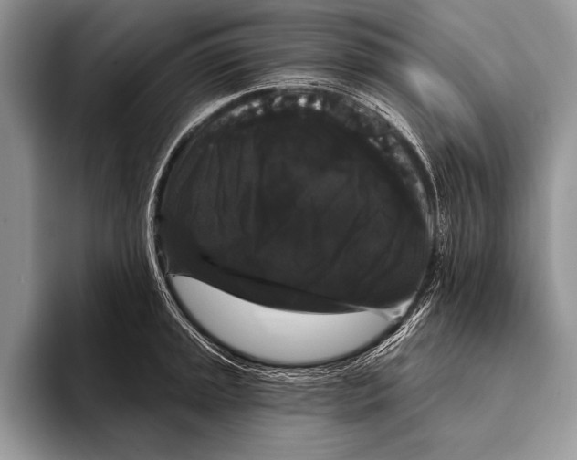 X0000093401045200711091337