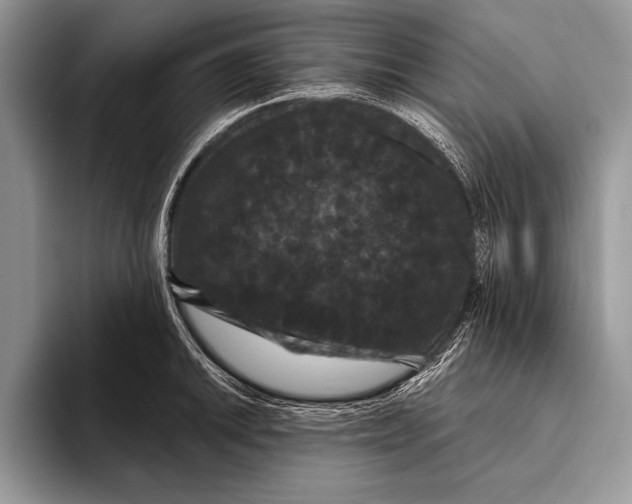 X0000093401046200711091337