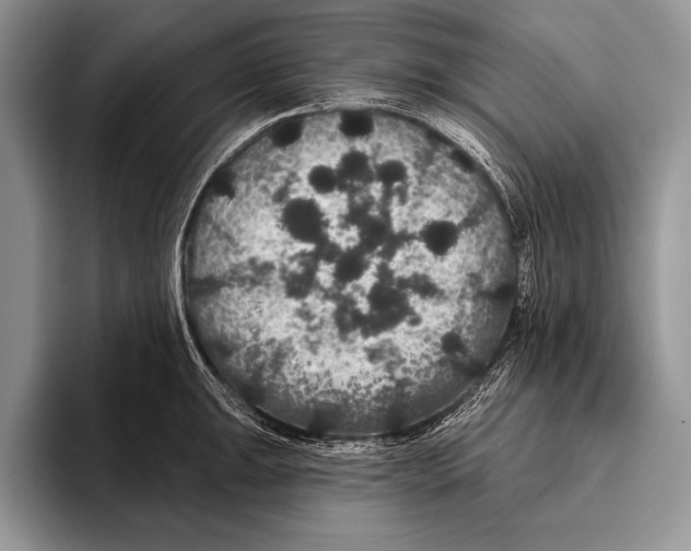 X0000093401047200711091337