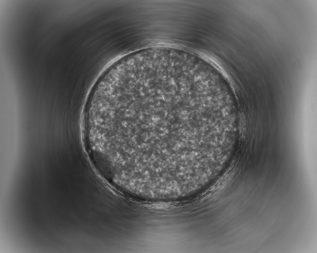 X0000093401048200711091337