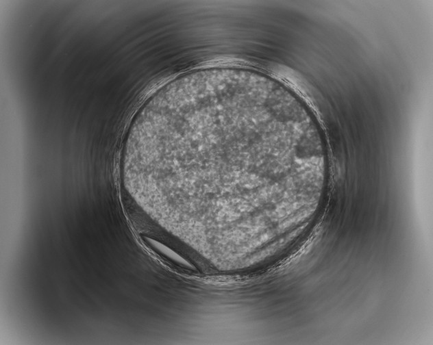 X0000093401049200711091337