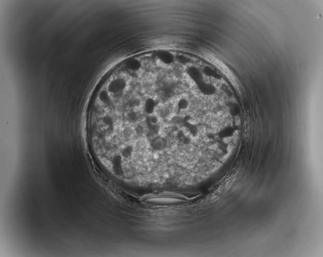 X0000093401051200711091337