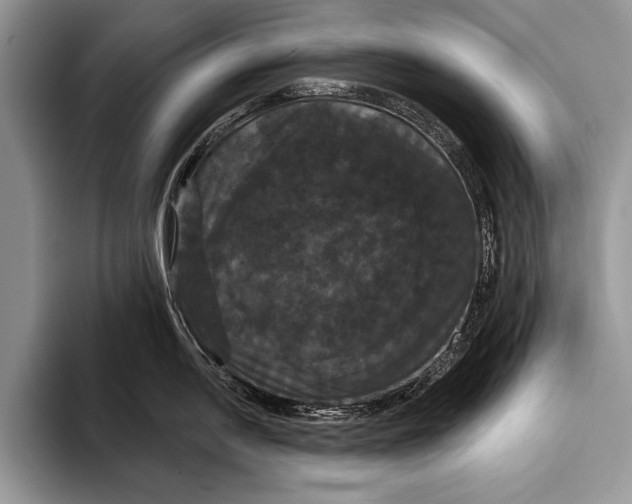 X0000093401054200711091337