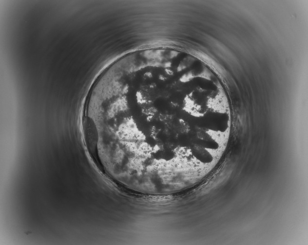 X0000093401055200711091337