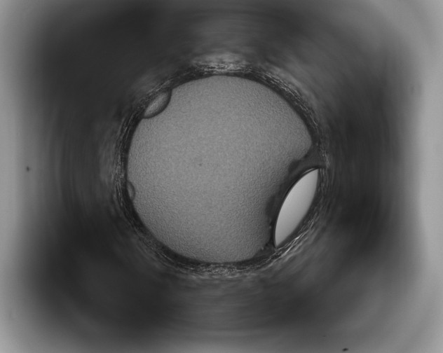 X0000093401058200711091337