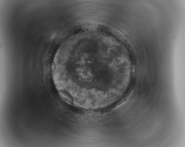 X0000093401059200711091337