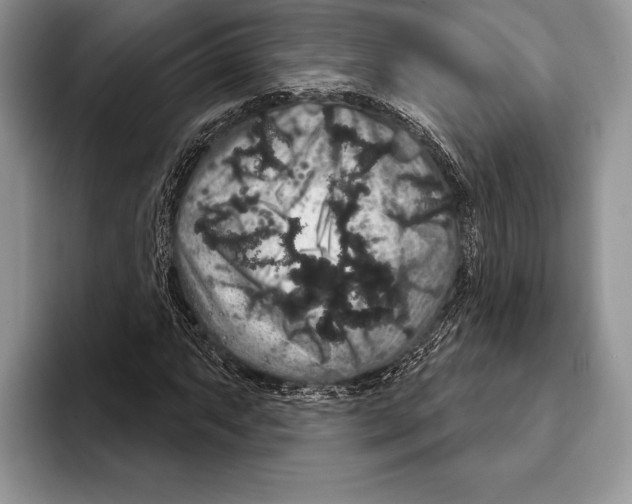 X0000093401063200711091337