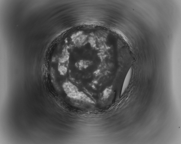 X0000093401064200711091337