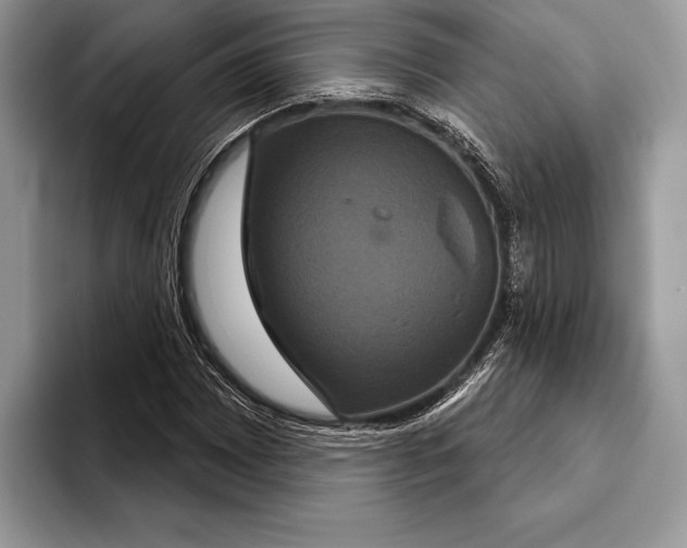 X0000093401065200711091337