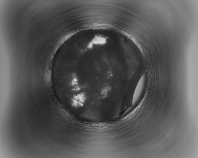 X0000093401066200711091337