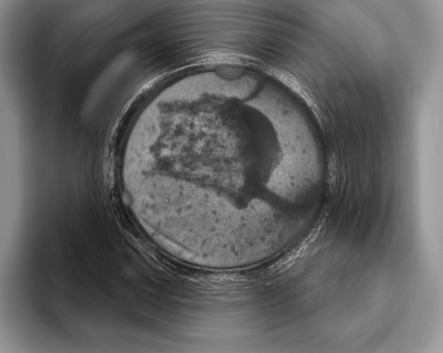 X0000093401067200711091337