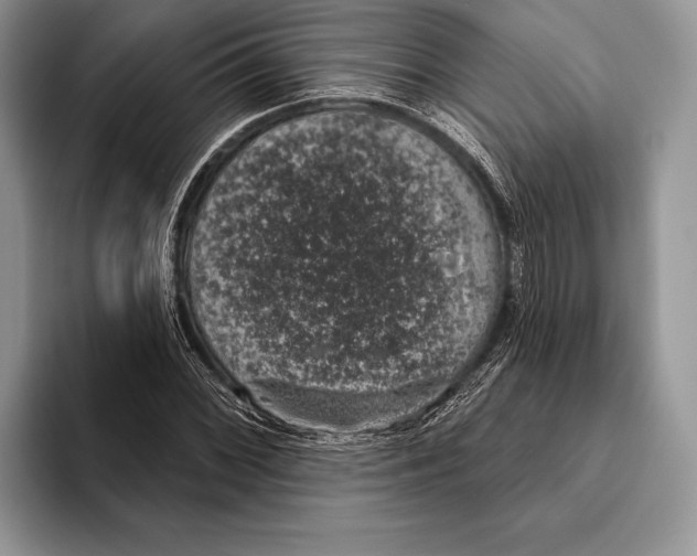 X0000093401068200711091337