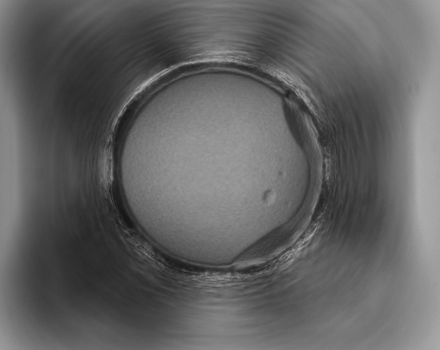 X0000093401069200711091337