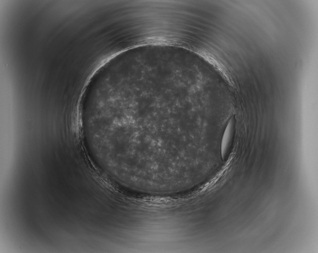 X0000093401070200711091337