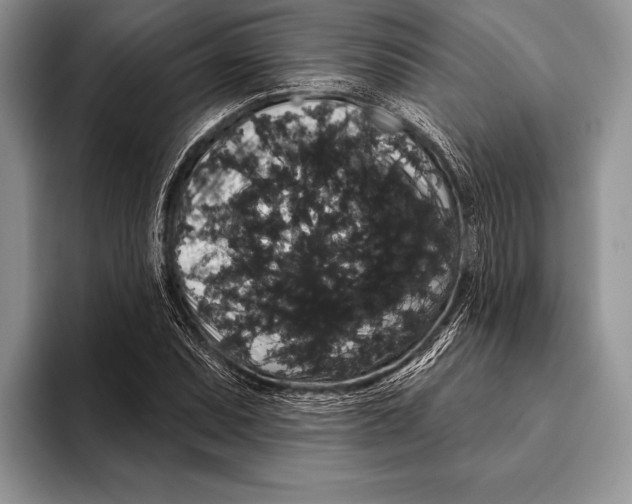 X0000093401071200711091337