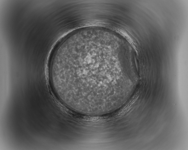 X0000093401072200711091337