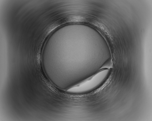 X0000093401073200711091336