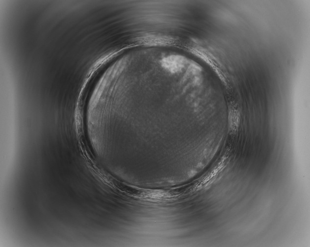 X0000093401074200711091336