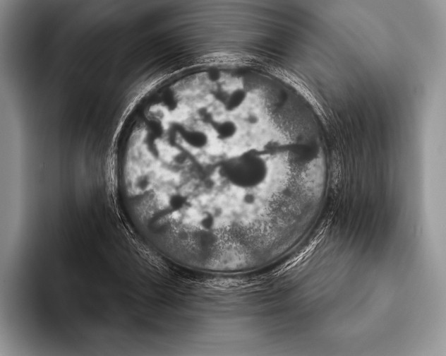 X0000093401075200711091336