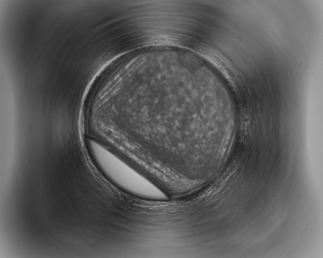 X0000093401076200711091336