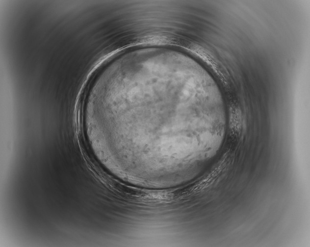 X0000093401078200711091336