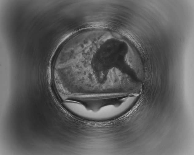 X0000093401079200711091336