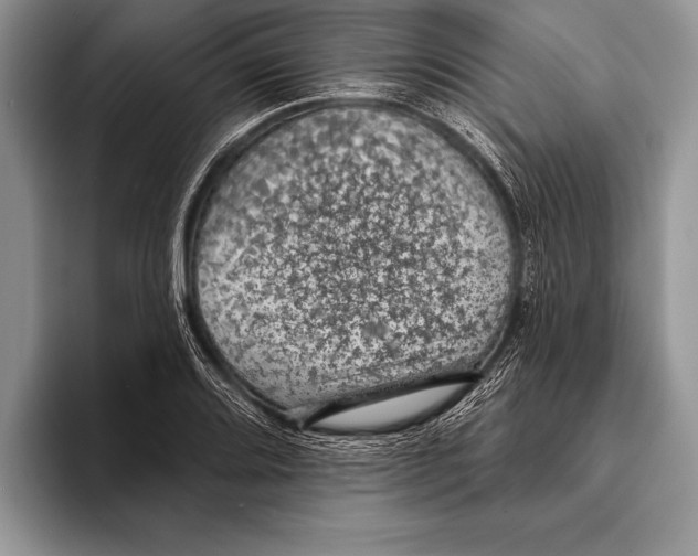 X0000093401080200711091336