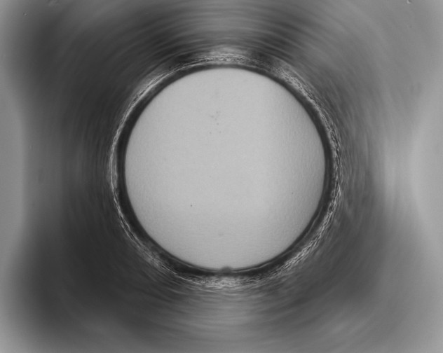 X0000093401082200711091336