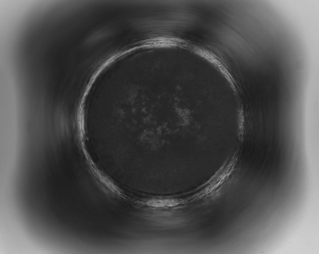 X0000093401083200711091336