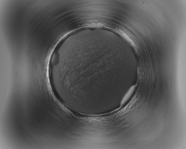 X0000093401084200711091336