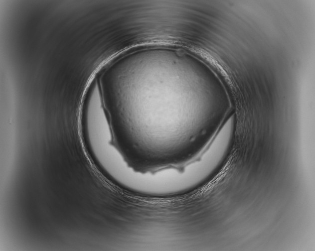 X0000093401085200711091336