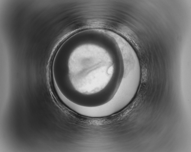 X0000093401086200711091336