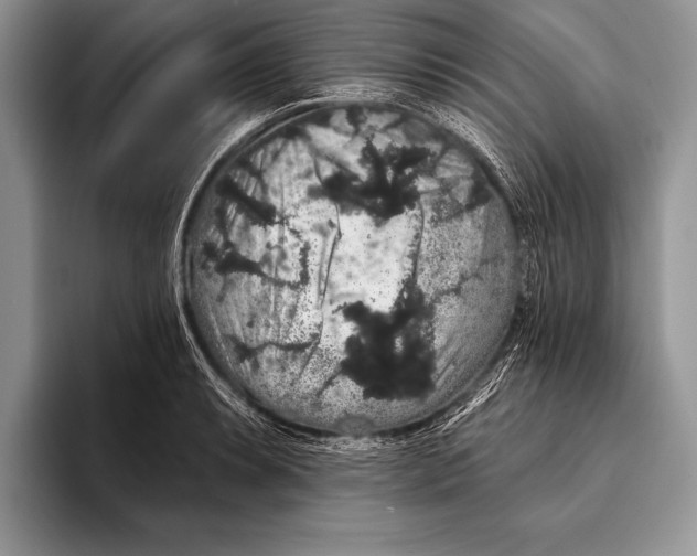 X0000093401087200711091336