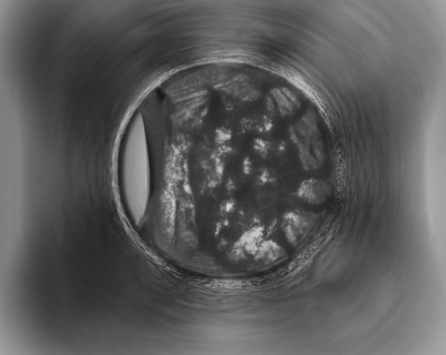 X0000093401088200711091336