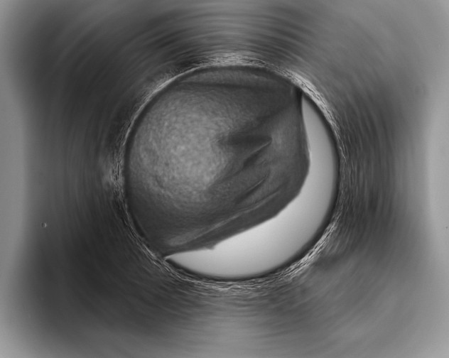 X0000093401089200711091336