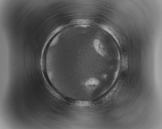 X0000093401090200711091336