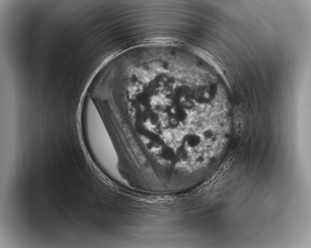 X0000093401091200711091336