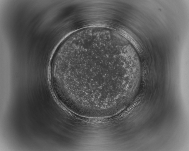 X0000093401092200711091336