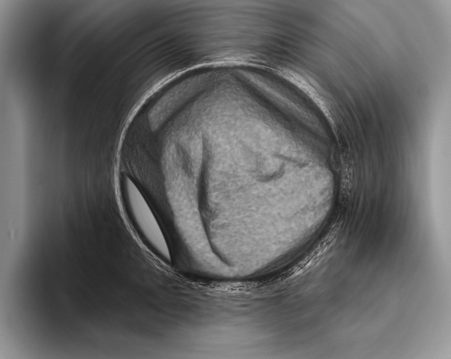 X0000093401093200711091336