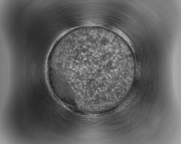 X0000093401096200711091336