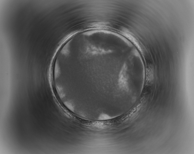 X0000093401098200711091336