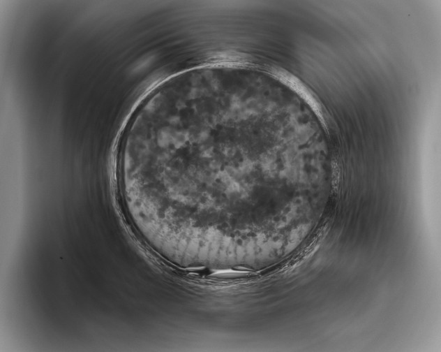 X0000093401099200711091336