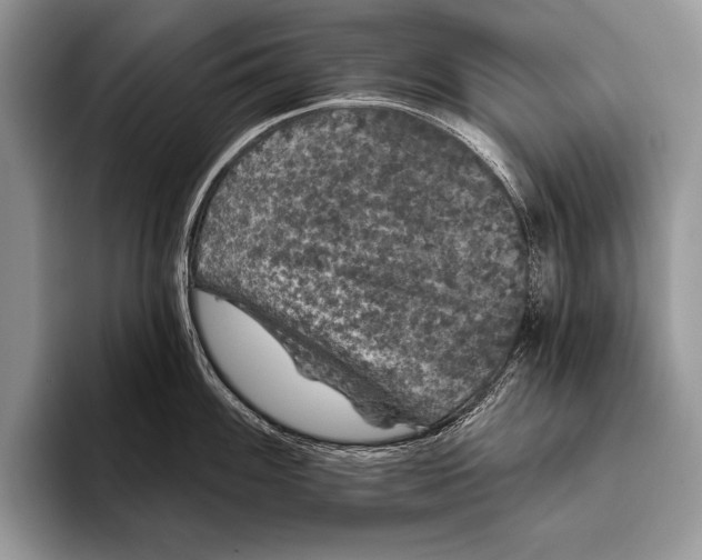 X0000093401100200711091336