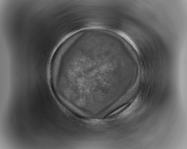 X0000093401101200711091336