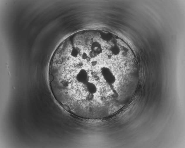 X0000093401103200711091336