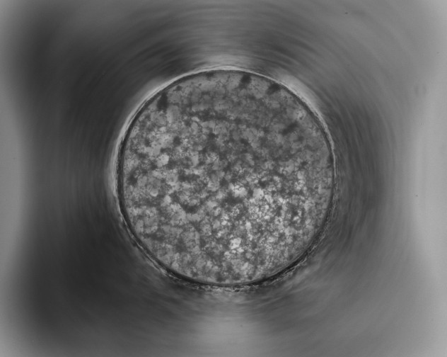 X0000093401104200711091336